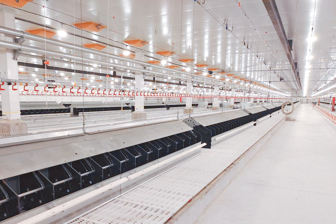 1a88bbd41d26200958039d3563284f0.png 1a88bbd41d26200958039d3563284f0.png