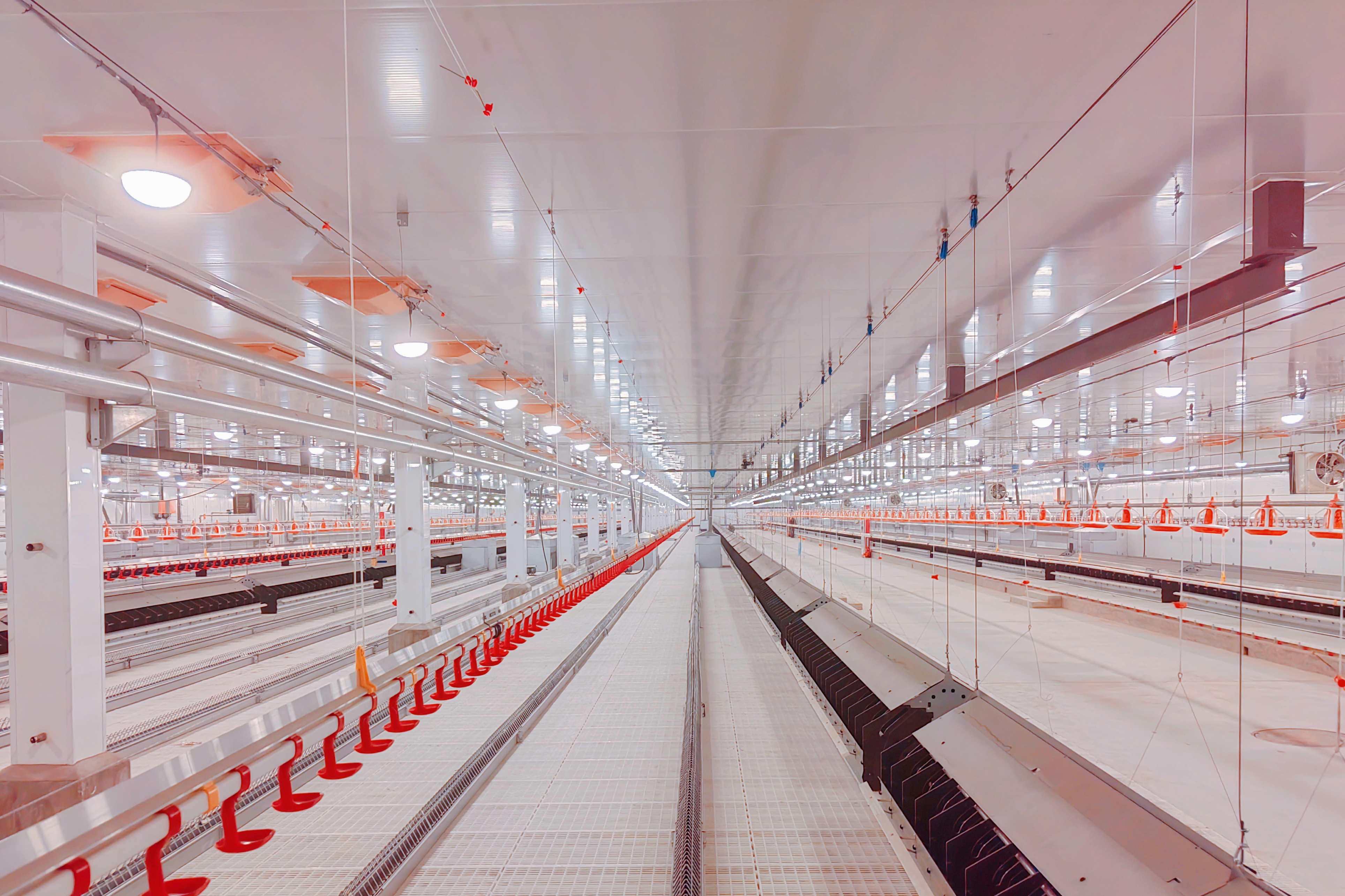 4e5e71b782a9d6f29c4ba8d9e37e305.jpg 4e5e71b782a9d6f29c4ba8d9e37e305.jpg