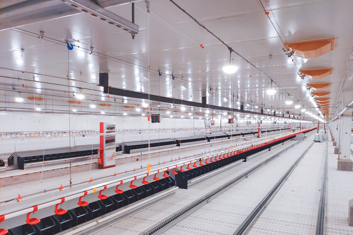 91498f00e614e0b81fd7f612752d665.png 91498f00e614e0b81fd7f612752d665.png