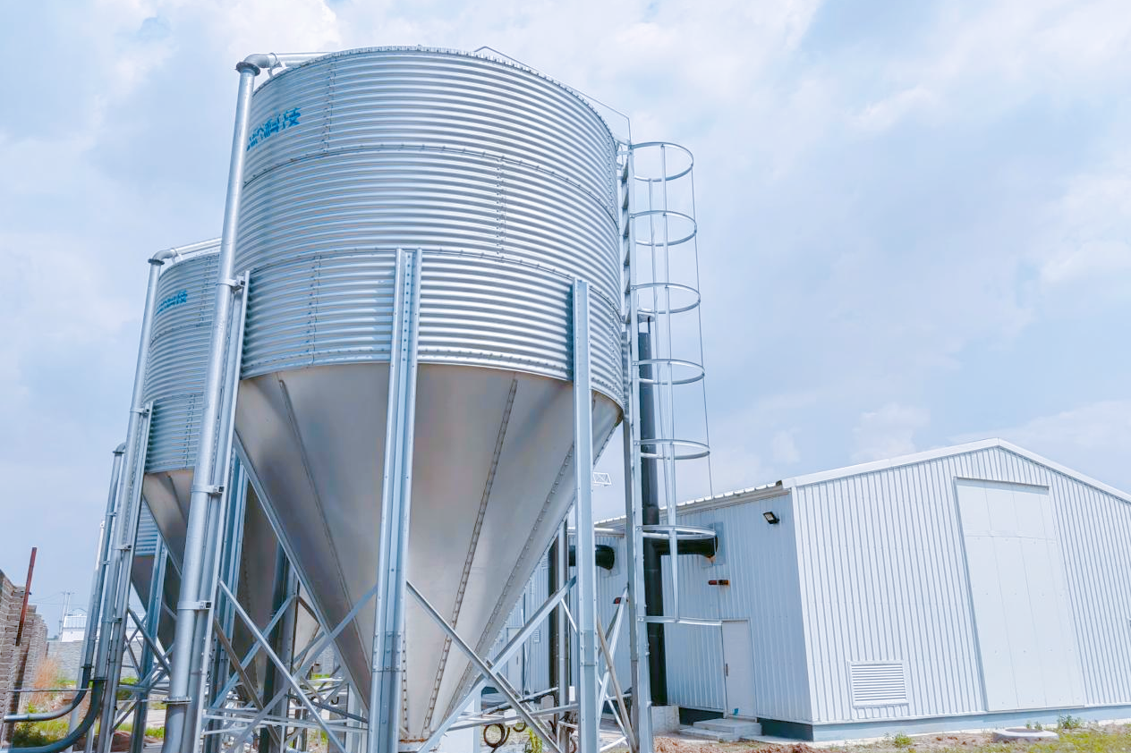 图片4.png 图片4.png