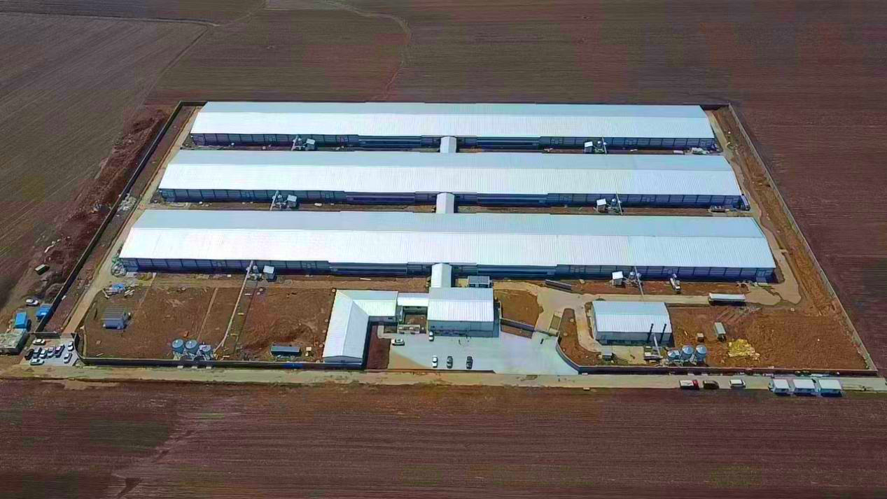 图片4_副本.png 图片4_副本.png